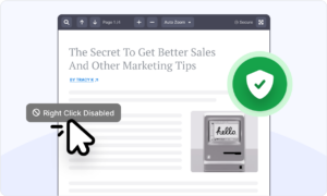 WordPress PDF Plugin | Embed, Secure & Track - WP-PDF.com